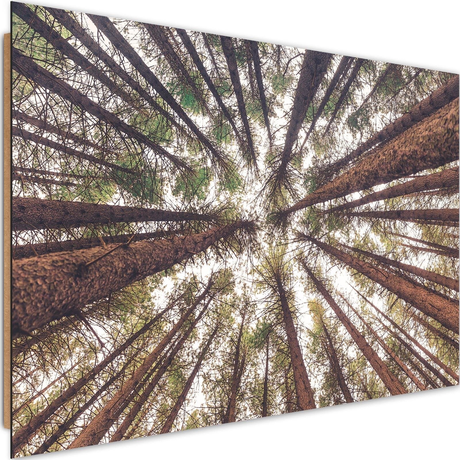 Tableau bois de pin haut | Leroy Merlin