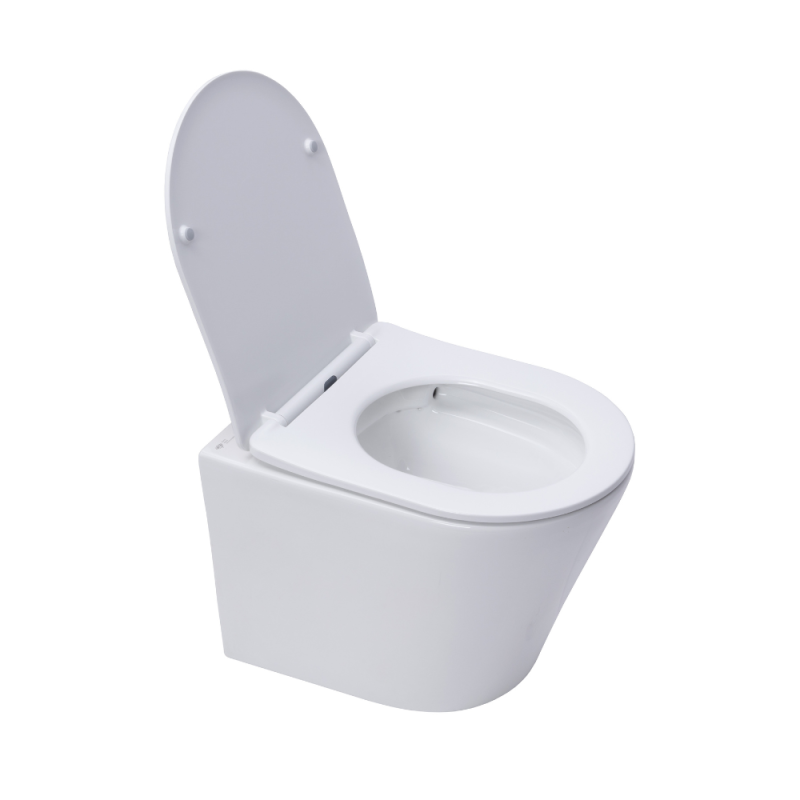 Pack WC bâti-support Rapid SL + WC SAT sans bride + abattant SoftClose + plaque chrome (RSLCETOR1) - 4
