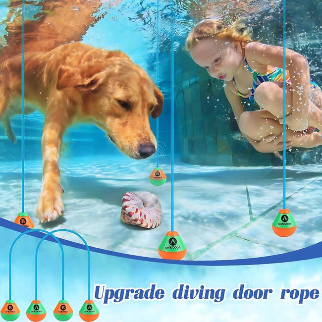 Juguetes de piscina, juguetes de buceo para entrenamiento