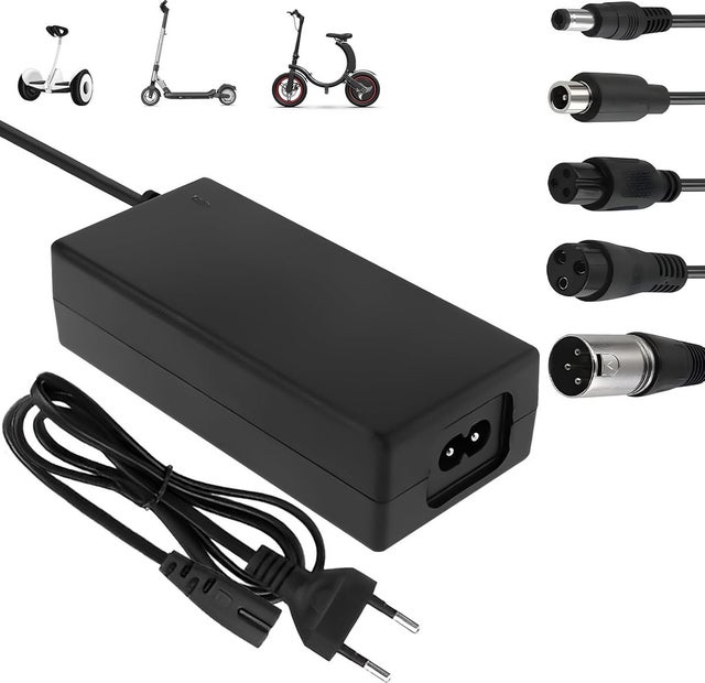 Caricabatterie per 36V/42V 2A con 5 connettori per batteria - per bici elettrica, hoverboard, triciclo da drift, bici senza peda