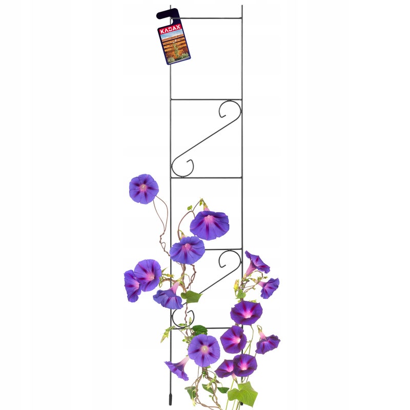 DRABINKA OGRODOWA PODPORA OGRODOWA NA KWIATY RÓŻE RÓŻ PNĄCZ 150cm PERGOLA