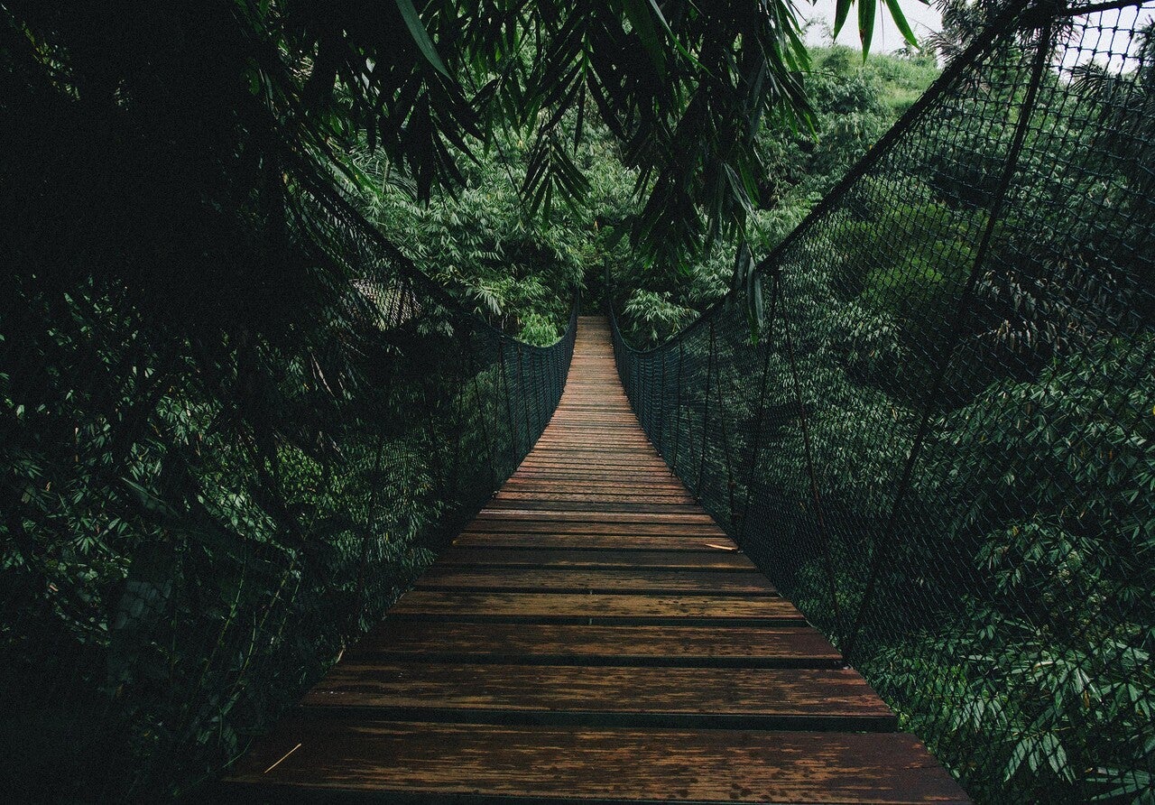 Papel pintado vinílico fotografia panorámica bosque paisaje 416x254 cm - incluye cola - moderno salon dormitorio papel