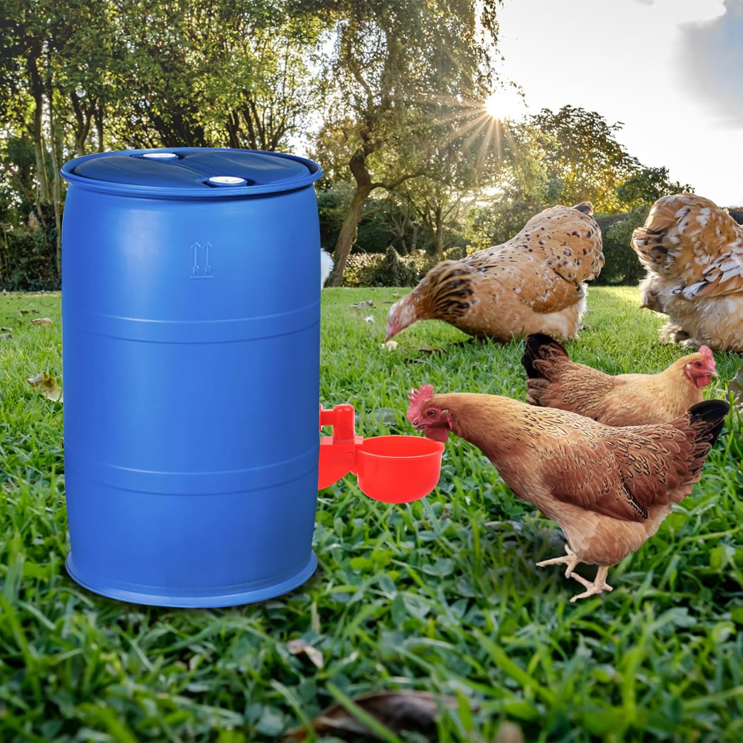 Abreuvoir automatique pour poules, kit avec foret de 9 mm, mangeoire pour poules, canards, oies, dindes, pigeons et autres volailles - 5