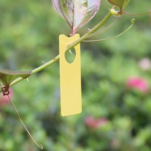 Tildenet del Giardinaggio - Segnalibro per Le Piante, Colore
