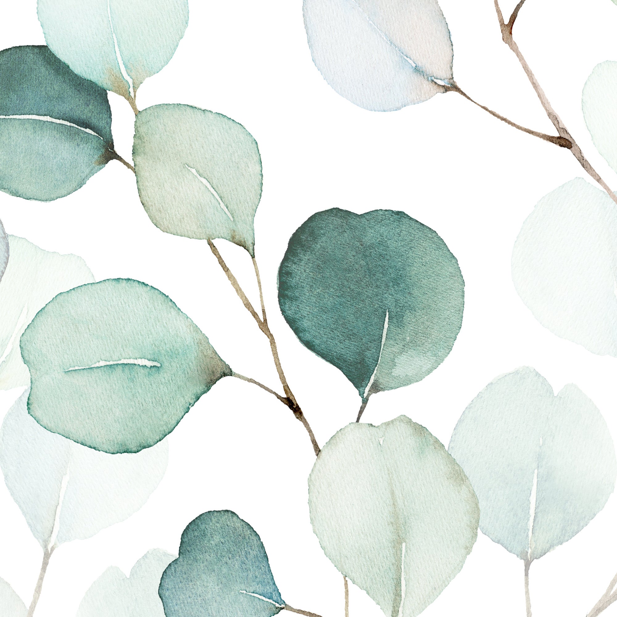 Papel pintado vinílico lavable para paredes, salones, cocinas, baños, pasillos y comedores -Eucalyptus 65x300 cm - 5