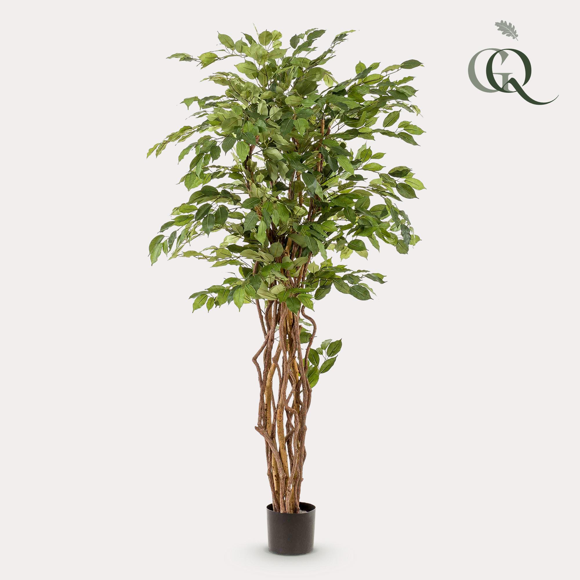 Green boutiQ Sztuczny Ficus Liana – Vioolbladplant – 170 cm – Dekoracja wnętrz bez pielęgnacji