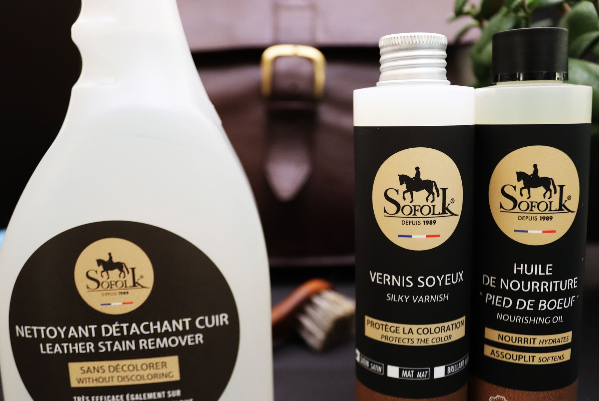 Pulitore Divani In Tessuto COFANETTO IN PELLE CON ATTREZZI