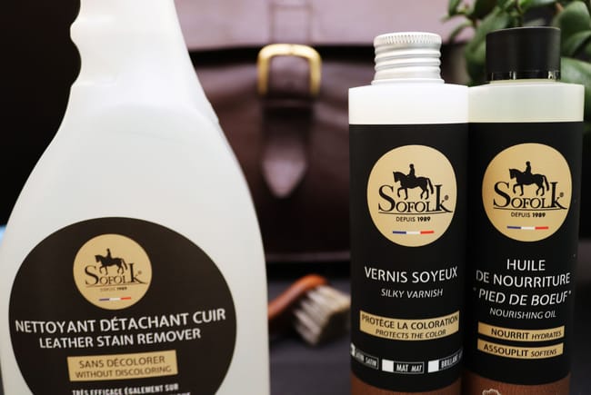 Pulitore Divani In Tessuto COFANETTO IN PELLE CON ATTREZZI