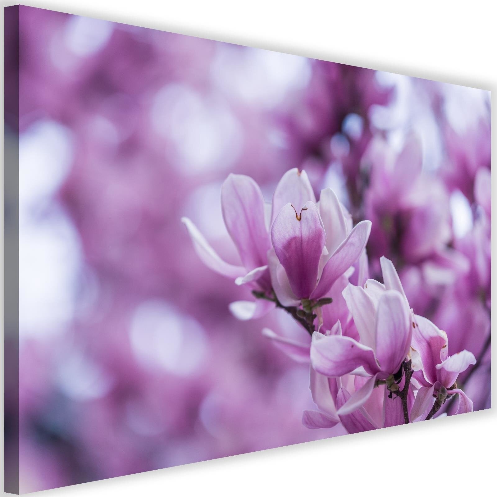 Obraz na płótnie, Kwiaty magnolii 120x80