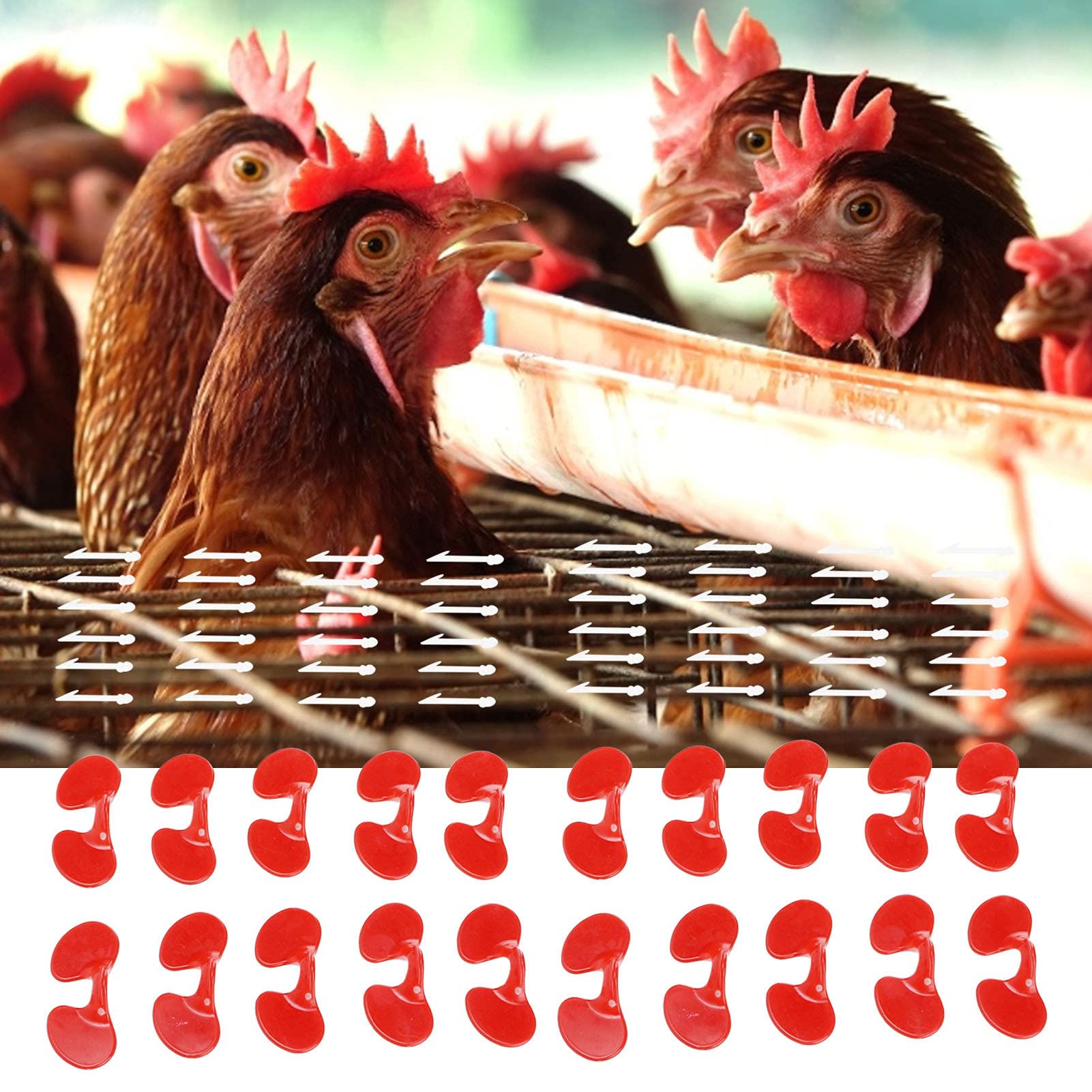 1000Set 6cm Paraocchi per Pollo con Fori in Plastica Anti Beccate per Pollo Occhi Occhiali Accessorio - 2