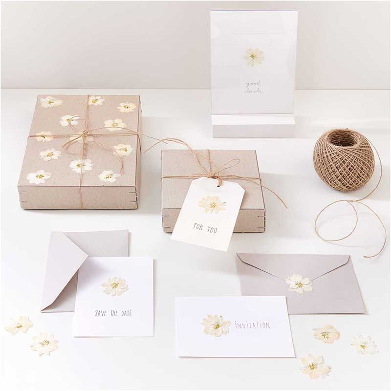 Delphiniums blancs séchés et pressés - Rico Design - 3