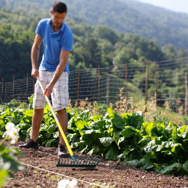 Râteau Duopro 16 dents courbes manche bois certifié PEFC 100% - NOUVEAU - 3