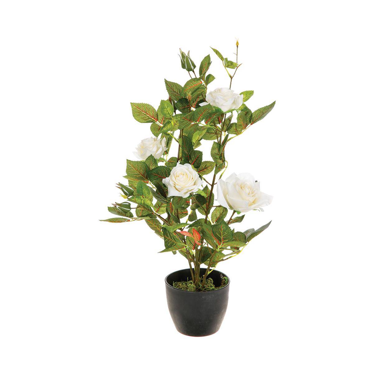 Pianta artificiale plumeau vaso in cemento h70cm - Atmosphera créateur