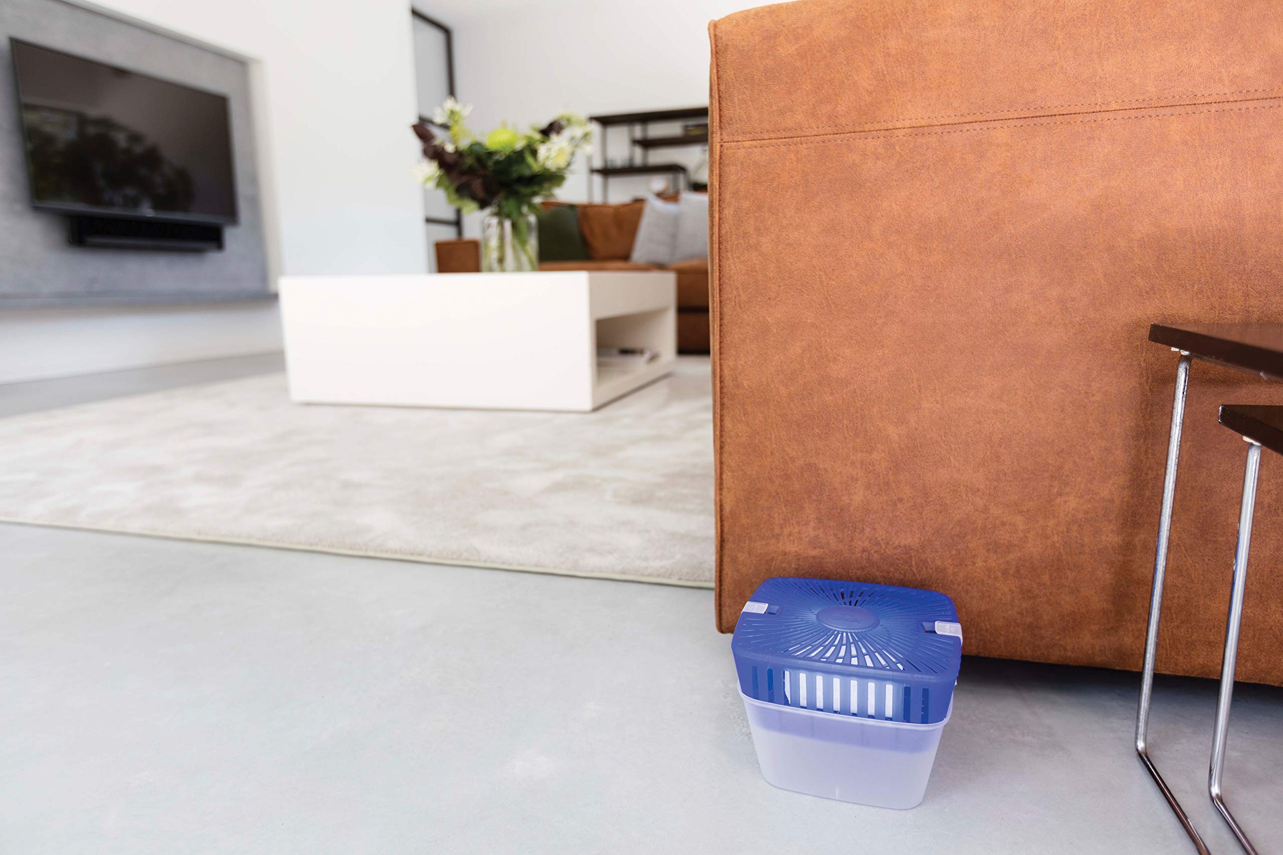 Recambio Airmax Maxi Lavanda G 1000 Airmax - 3