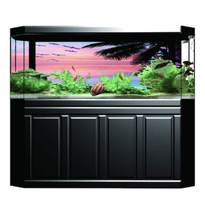 Sfondo Per Acquario 91x50cm - Decorazione Subacquea Con Pesci E Mare, In Vinile, Per Terrari E Vasche - Foto 9