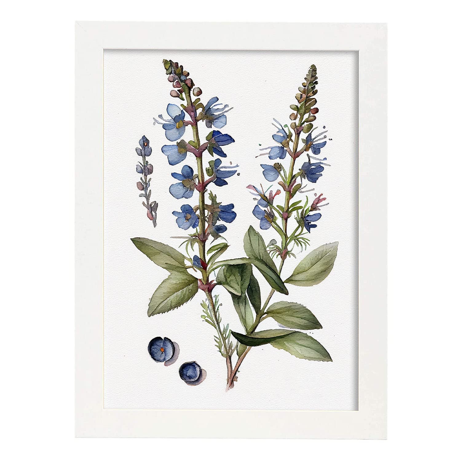 Nacnic poster de verónica estilo nórdico ilustraciones de botánica con flores y plantas en acuarela diseño moderno y modelo 2 a3 con marco blancos