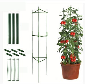 Set da 6 Gabbie Pomodori, Supporto per Piante Rampicanti, Sostegni, Accessori Giardinaggio, L: 76 cm, verde | Leroy Merlin