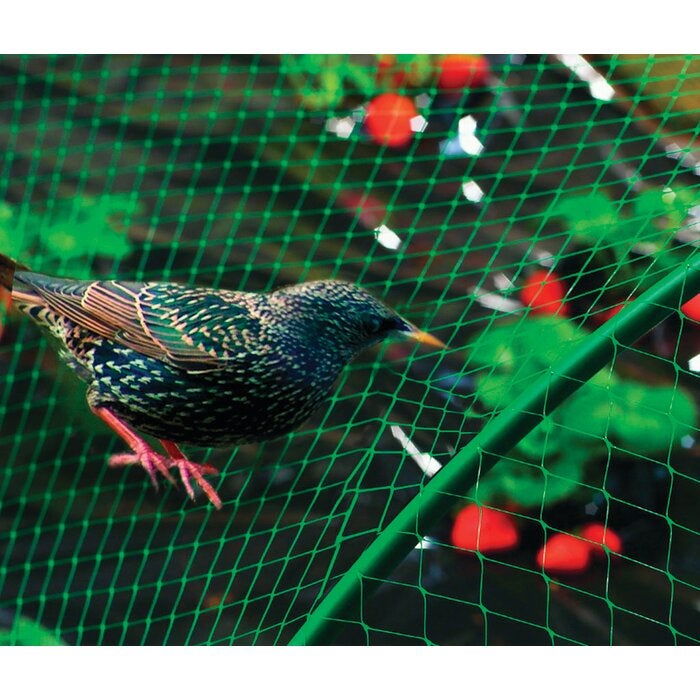 Filet de protection oiseaux Catral - 10 m x 2 m - 2
