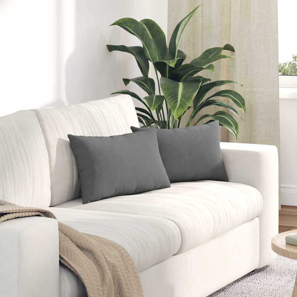 Gris / plata