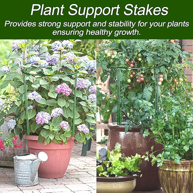 Lot de 10 supports de plantes semi-circulaires en métal - 40 x 25 cm - Support pour plantes en pot, fleurs, légumes - 3