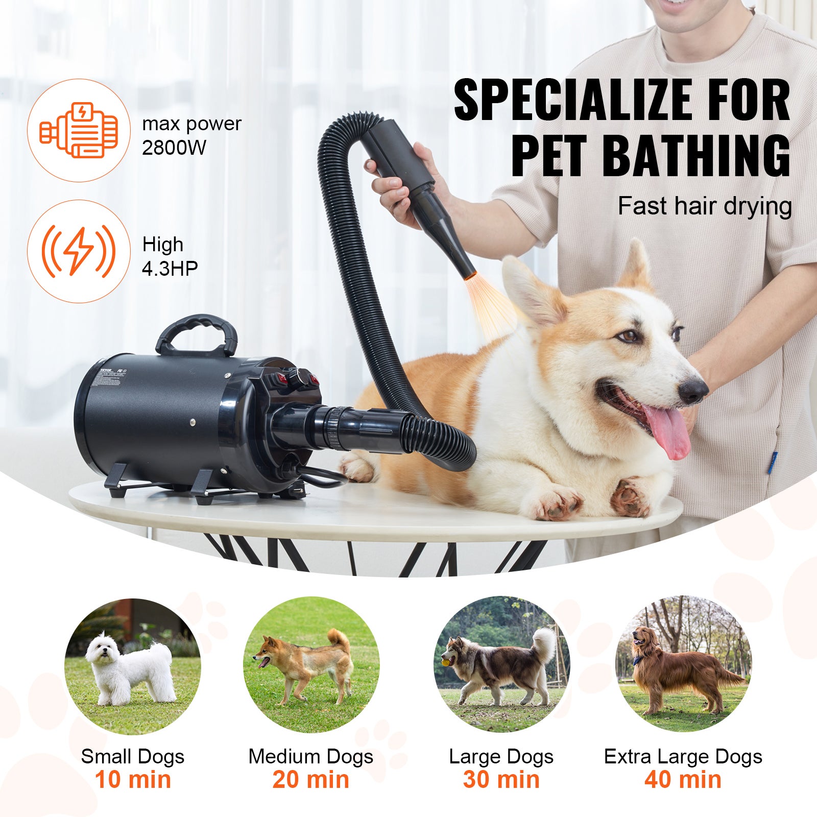 Secador de tosa para cachorro 2000W,SucceBuy secador de tosa 2,7 CV com velocidade e temperatura ajustáveis,4 bicos,mangueira expansível,preto - 4