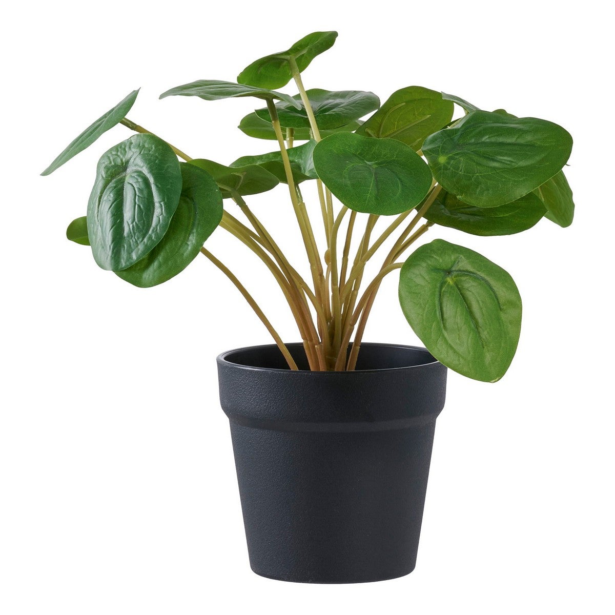 Sztuczna Roślina Pilea, Plastik PE, Zielony, Seven Design
