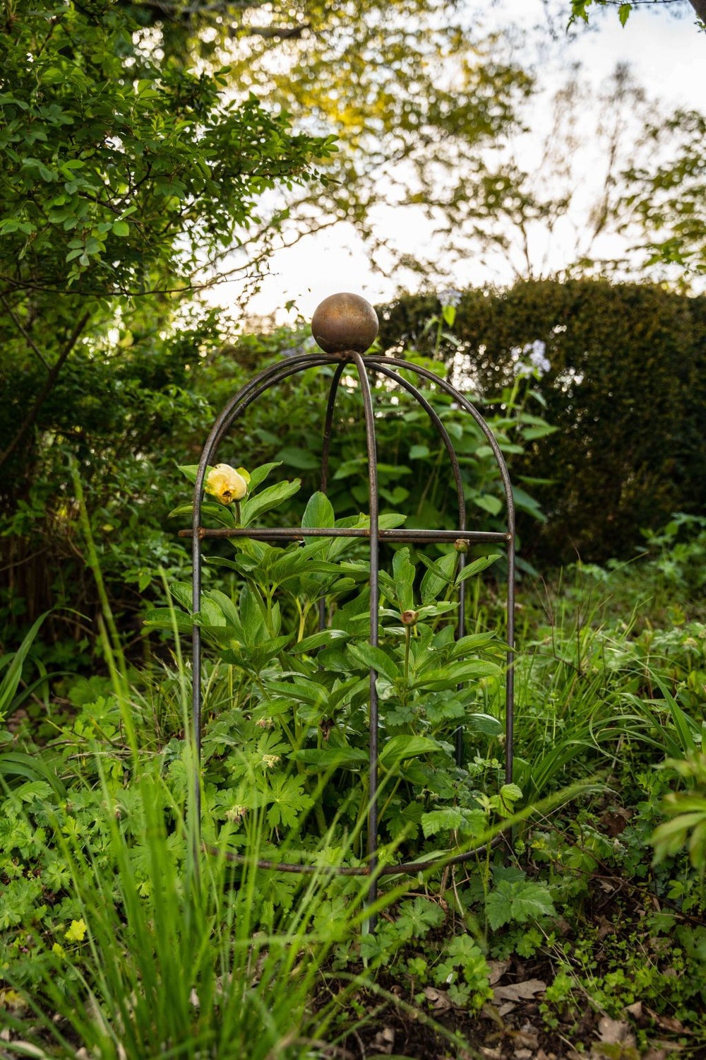 ELEO Tuteur plantes grimpantes Arezzo, Support de plantes de jardin en métal rond, rouillé - 2