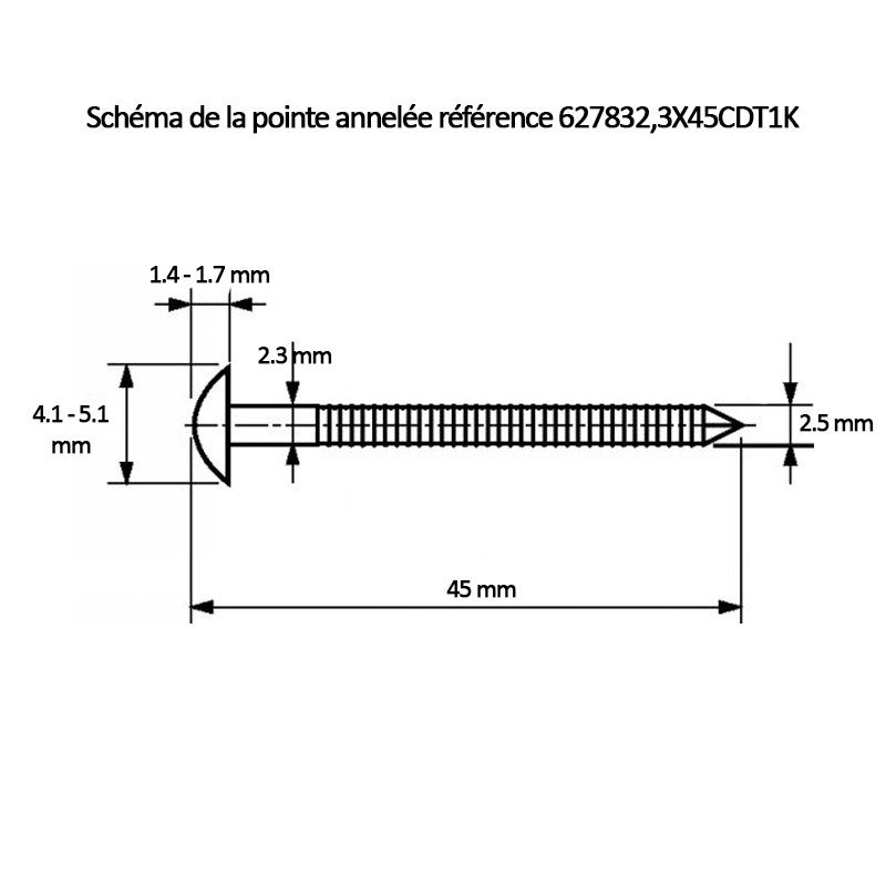 Pointes annelées 2.3 x 45 inox A2 - 250 g - Acton - 2