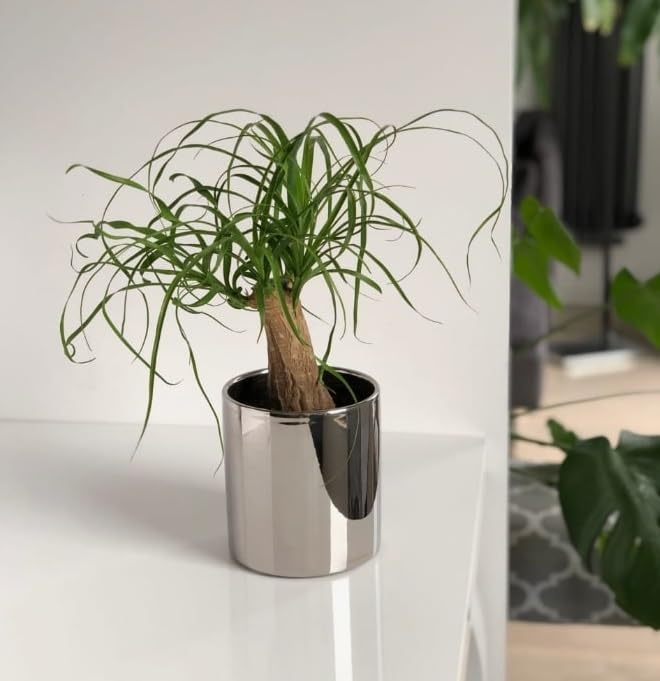 2x doniczka ceramiczna donica osłona cylinder ozdobna kwiaty rośliny czarna - KOTARBAU - 2