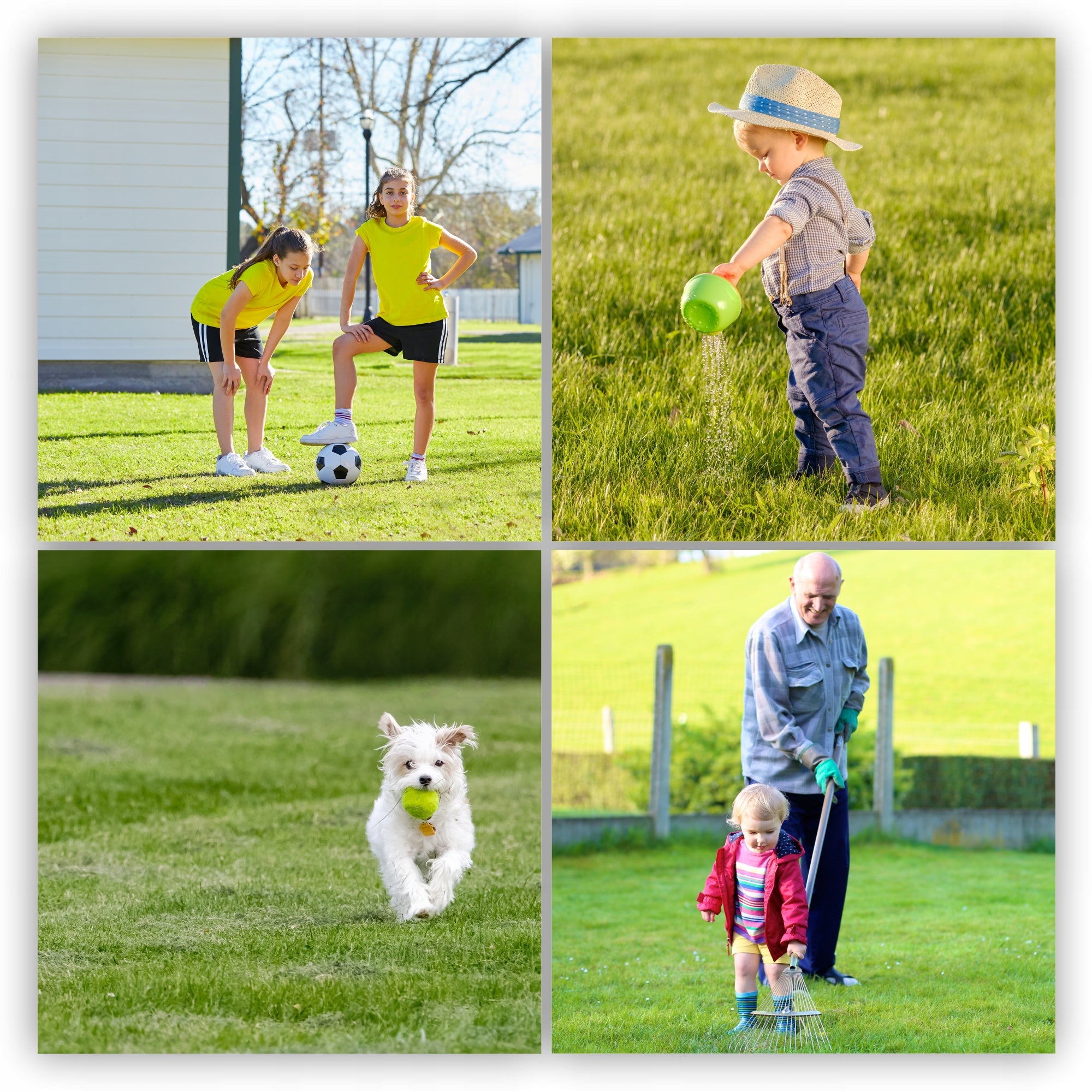 TRAWA NASIONA UNIWERSALNA SZYBKO ZAGĘSZCZAJĄCA TRAWNIK ODPORNA 2KG 80m2 - 4