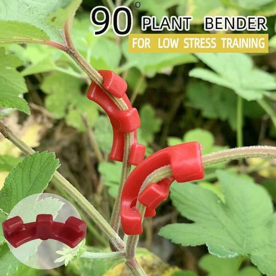 Pinces de pliage de plantes à 90 °, 10 pièces, outil de pliage de plantes, Support de vigne de légumes, Clips de Support de jardin - 3