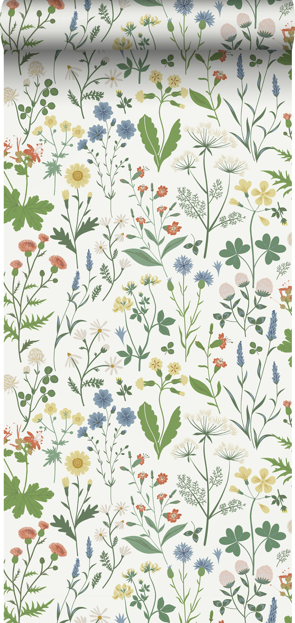 Papel pintado flores silvestres multi color sobre blanco - 53 cm x 10.05 m - estahome