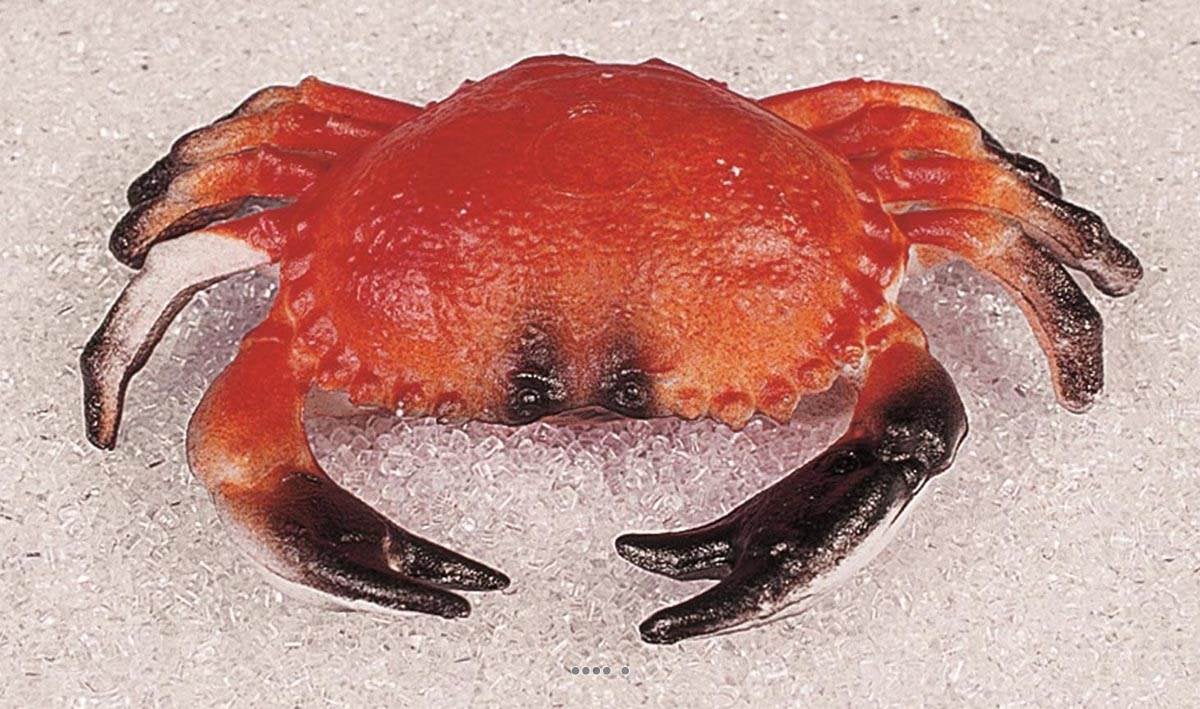 Appât De Crabe De Simulation, 10pcs Leurre De Crabe Souple En