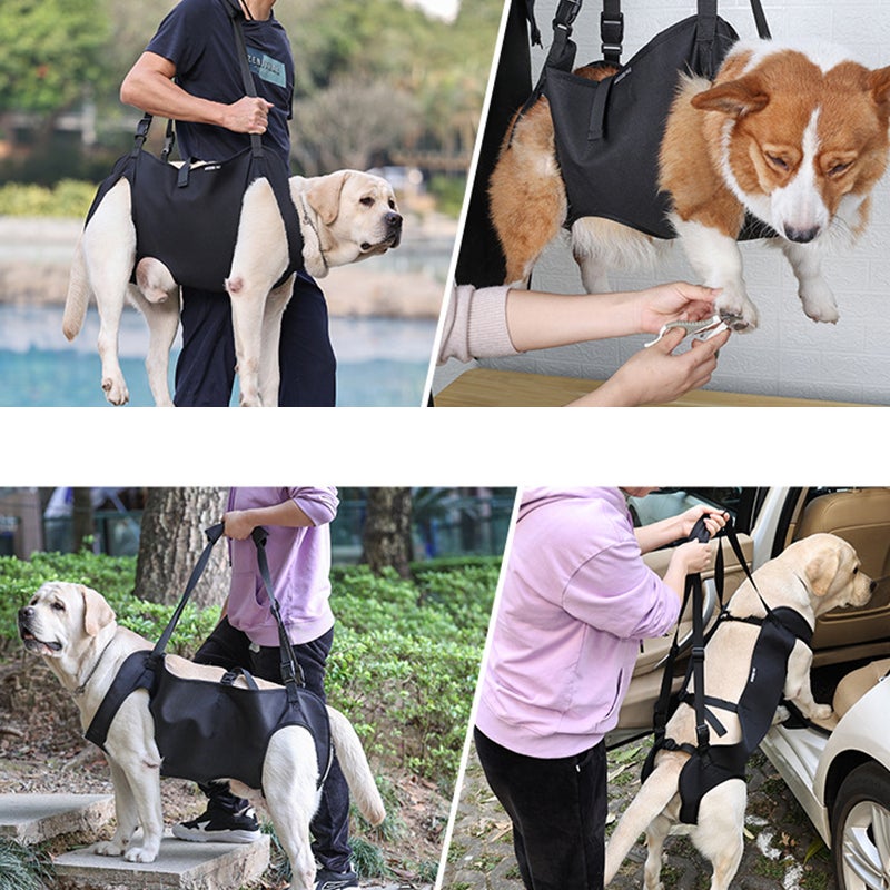 Arnês de suporte para cães - Arnês de elevação para reabilitação - 7
