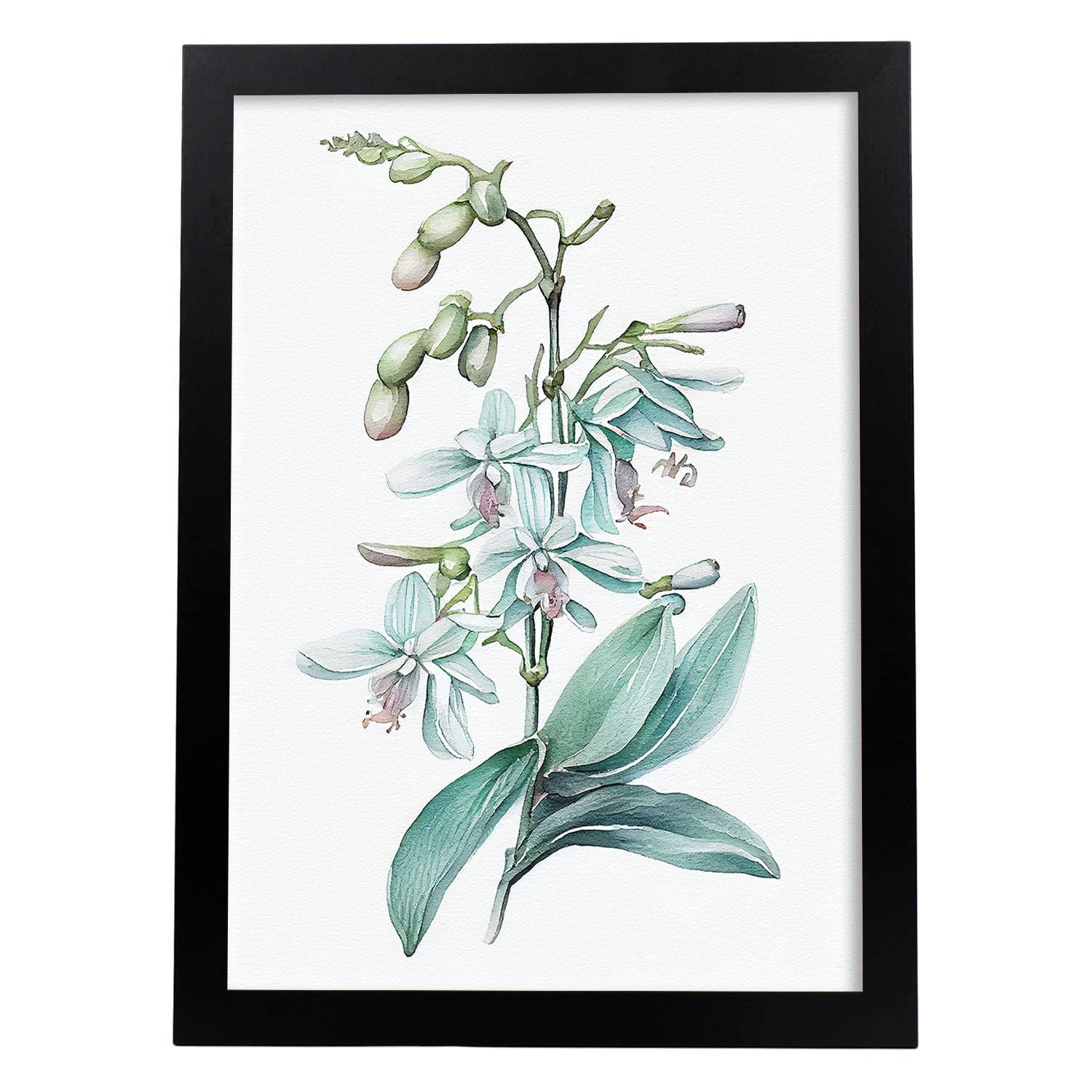 Nacnic poster de orquídea estilo nórdico ilustraciones de botánica con flores y plantas en acuarela diseño moderno y modelo 2 a3 con marco negro