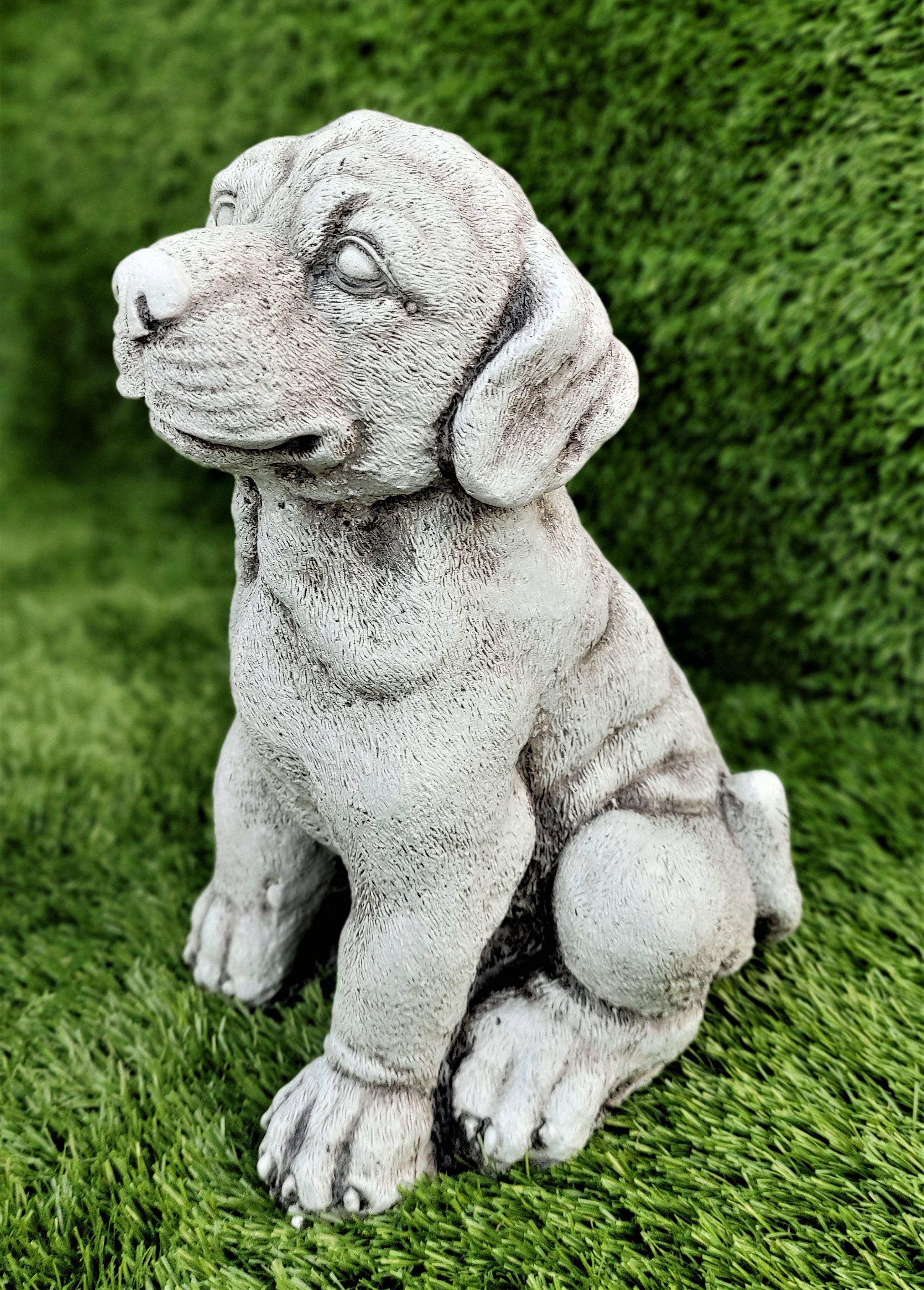 Figure de rottweiler en pierre de béton 15x16x25cm. | Leroy Merlin