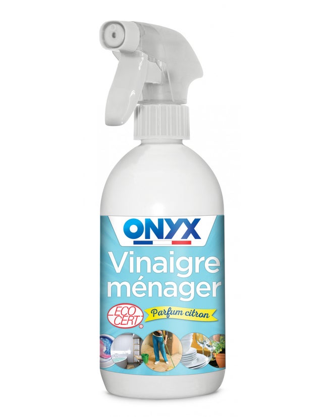 VINAIGRE D'ALCOOLS CITRON PULVE 500ML