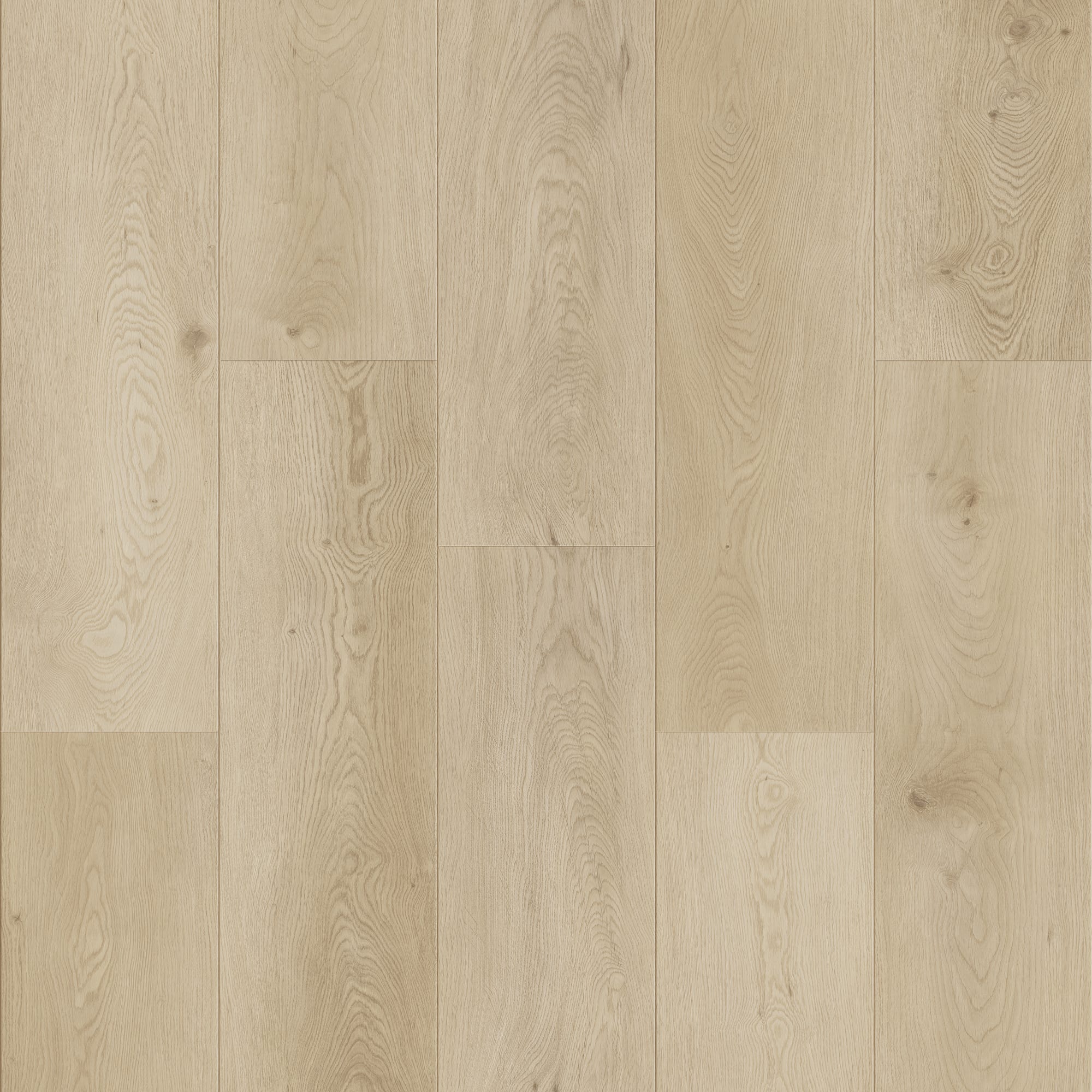 ARTENS - Échantillon de lame PVC - 28 x 15 cm - Sol PVC à clipser RAILTON - FORTE - Effet bois - Beige clair - Epaisseur 4 mm - Classe 32 - 3