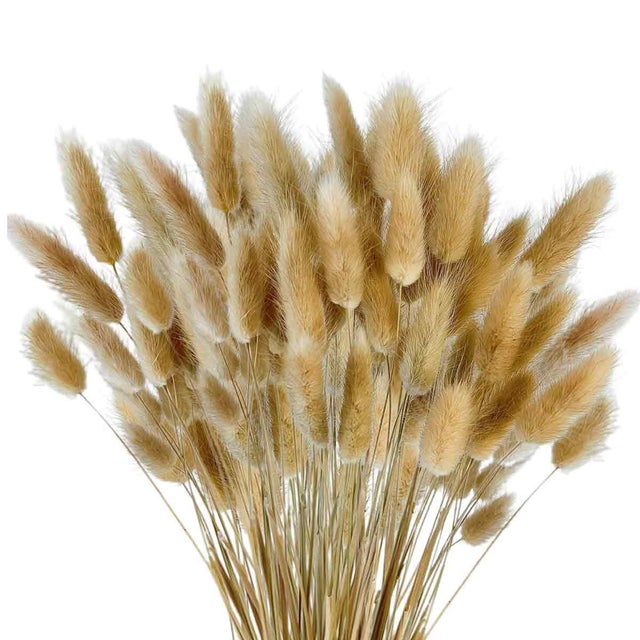 100 Pièces Queues de Lapin et Herbe de Pampa Séchées, Décoration Bohème pour Arrangements Floraux