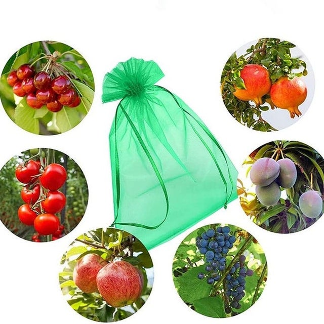 (30 x 20 cm, 100pcs) Sachets de protection pour grappes de raisin, verts, avec cordon de serrage, protection complète contre les guêpes et les oisea