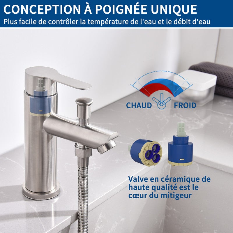 Mitigeur Salle de Bain Brossé Robinet de Douche avec Pommeau et Flexible Kit de Robinet Monotrou à Double Usage - 4