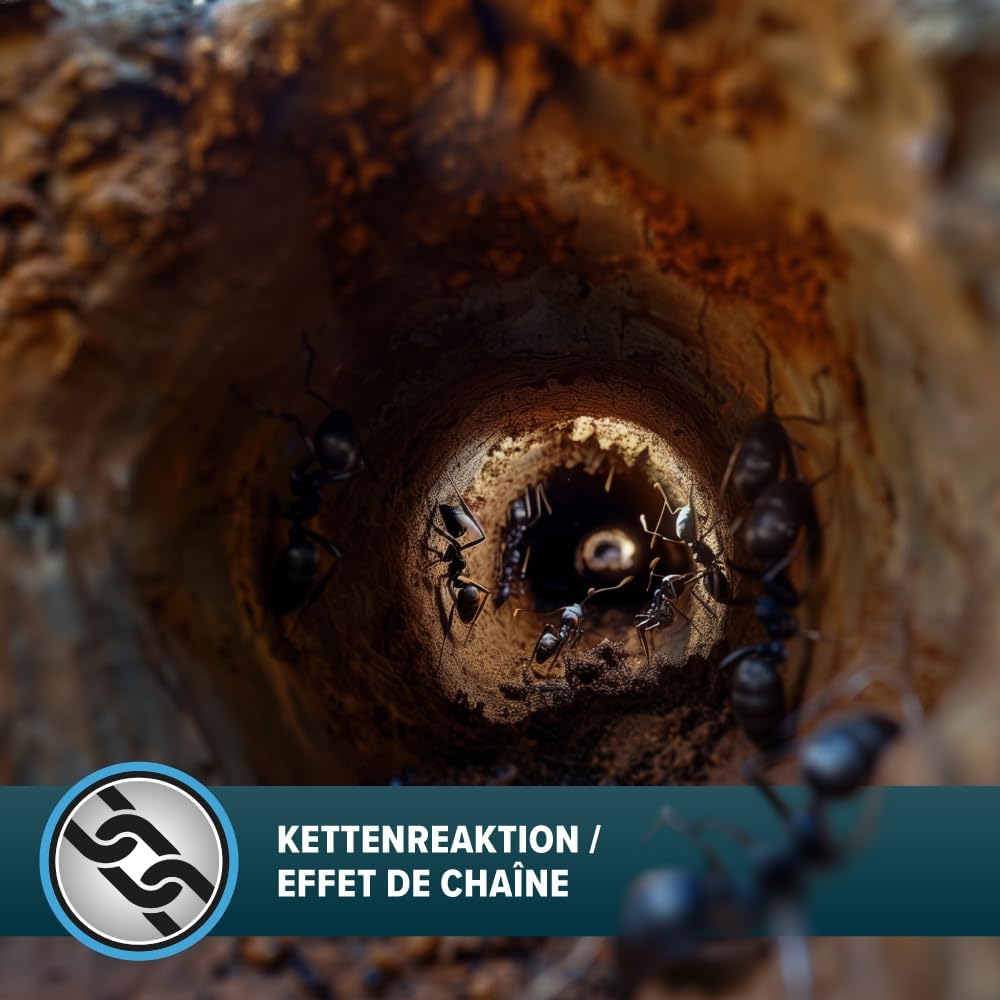 Scatole esca formiche NOPE! - 4 x 10 g - uso interno / esterno - gel a bassa tossicità - elimina il formicaio - 3