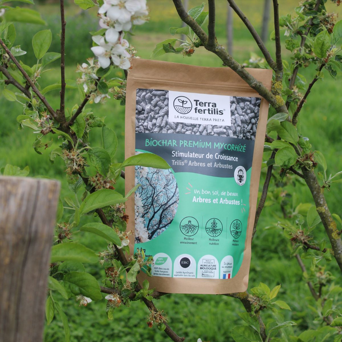 Fertilisant Arbres Et Arbustes À Base De Mycorhizes - 500 g - 9