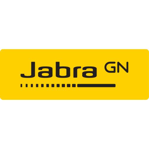 Jabra Evolve2 65 Flex Auricolare Con cavo e senza cavo A Padiglione