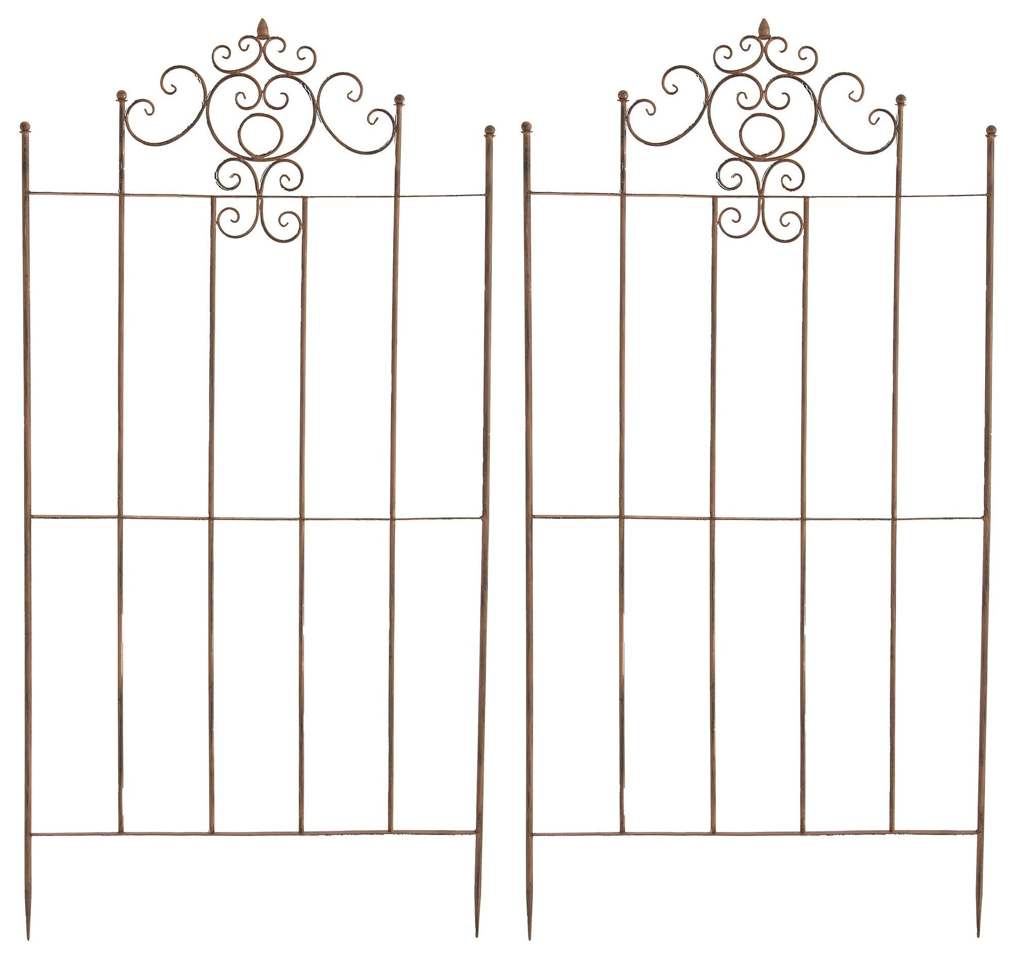 Treillis Métal Pour Plantes Grimpantes Avec Oiseaux Décoratifs - Lot De 2 Supports Jardin 50x150cm Noir