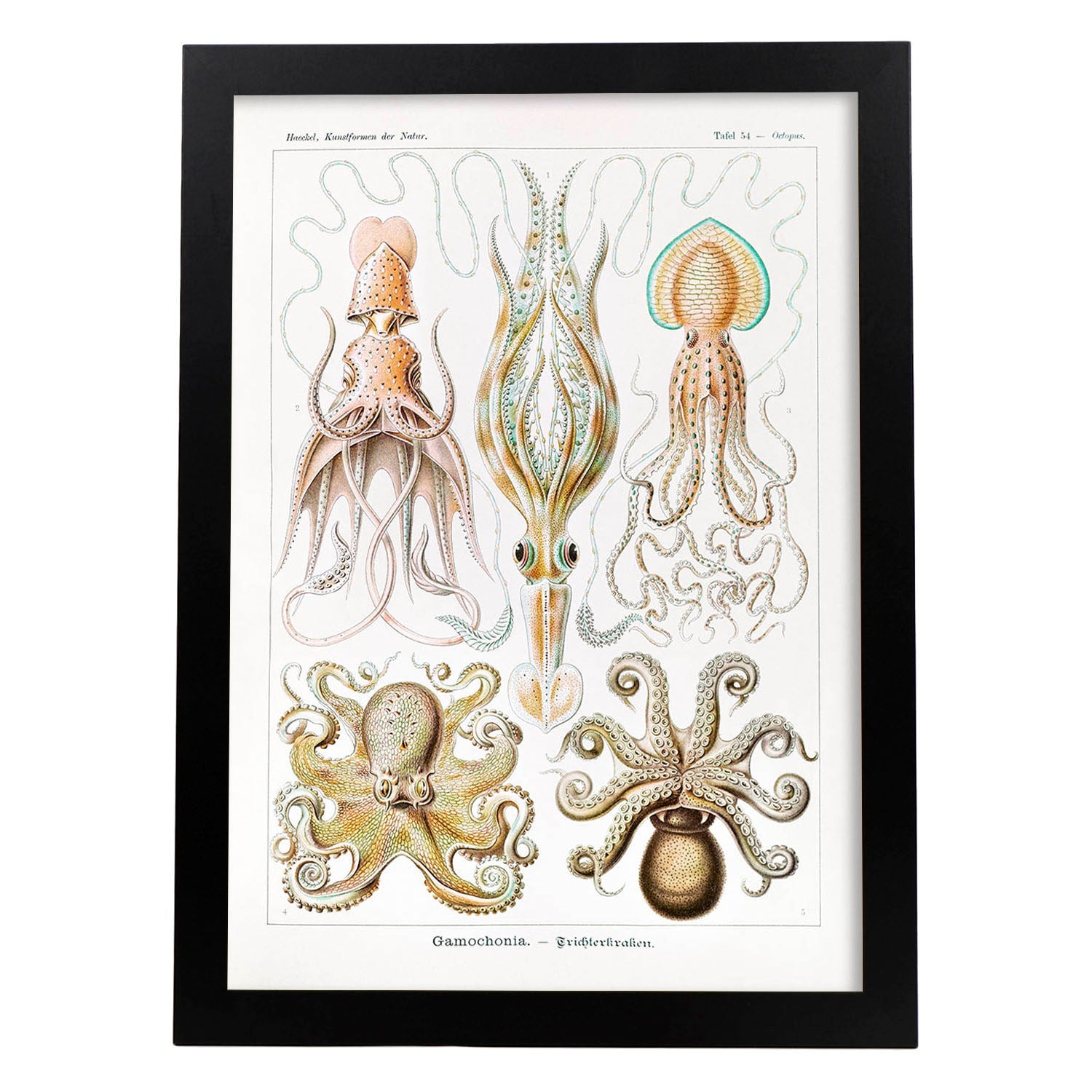Lame Artistique Décorative Avec Illustration Du Style Vintage De ...