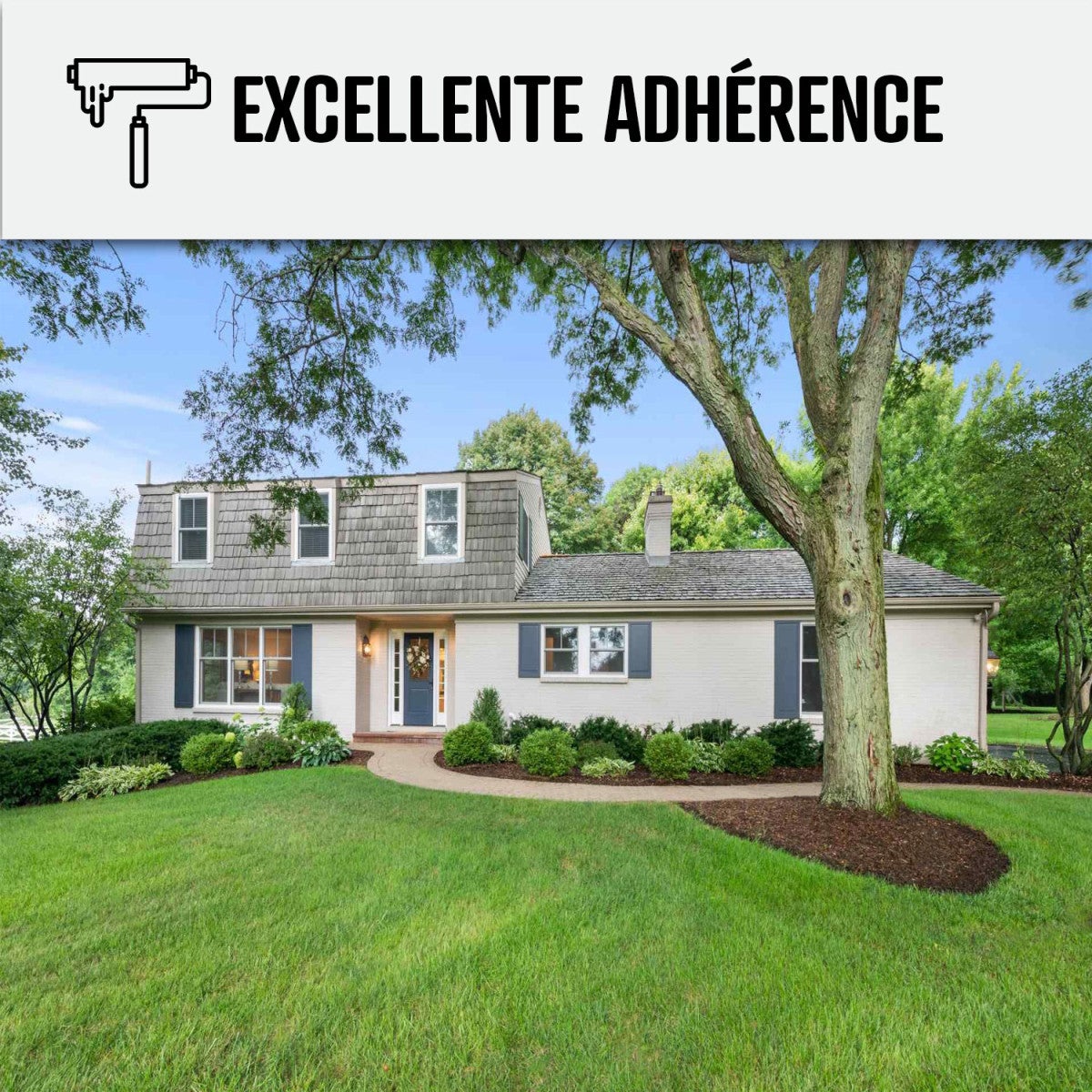 Peinture Façade Solvantée Pliolite - ARCAFACADE PLIOPROTECT - 2.5 L (+ ou - 20 m² en 1 couche) Blanc Gris - RAL 9002 - ARCANE INDUSTRIES - 3