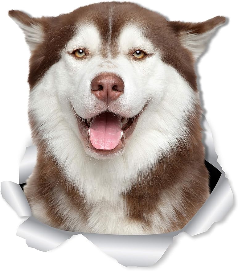 2 sztuki naklejek ściennych Siberian Husky - Naklejki 3D na ściany, samochody, toalety i nie tylko - Opakowanie na prezent Husky 10 * 12 cm