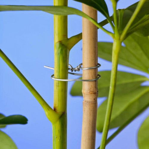 Fil en fer galvanisé - 2