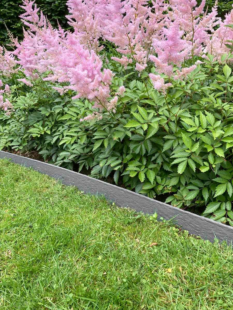 Bordure de jardin Multi-Edge ECO Droit 2m x 10cm | Gris - 3